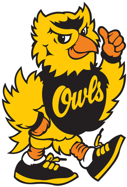 Kennesaw State Owls 1992-2011 Mascot Logo iron on paper